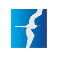 Celerated logo - Similar company to Skillfully
