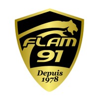 Flam judo logo - Similar company to Ipsilan Networks