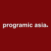 Programic Asia Pvt Ltd logo - Similar company to Virtufox