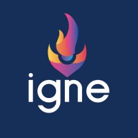 Grupo Igne logo - Similar company to Vflows
