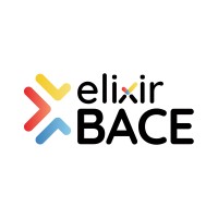 Elixir BACE logo - Similar company to Elixir Business Support Solutions Inc