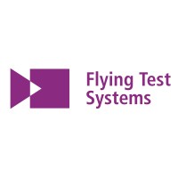 FLYING TEST SYSTEMS LIMITED logo - Similar company to Buffalo Security Ltd