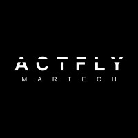 Actfly Martech logo - Similar company to Partner It