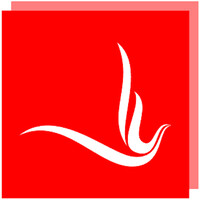 Firebird logo - Similar company to Firebird