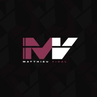 Matthieu Vidal