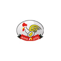 Emre Piliç logo - Similar company to Star Piliç