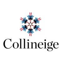 Collineige Chamonix logo - Similar company to Chamonix Chalets