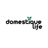 Domestique Life Facilities Management LLC logo - Similar company to Tss Technical Service Llc