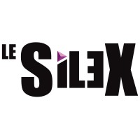 Le Silex Auxerre logo - Similar company to Piscines Dugain Auxerre 89