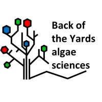 Back of the Yards algae sciences (BYAS) logo - Similar company to Braintree Technologies Limited