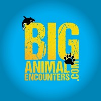 Big Animal Encounters logo - Similar company to Tsylos Park Lodge And Adventures