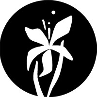 Lihtar Studio logo - Similar company to Enter Studio