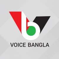 Voice Bangla logo - Similar company to Leaping Logic