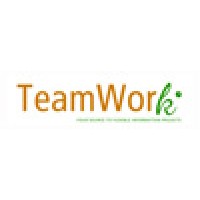 Teamwork Information Projects Bv / Flexpertise