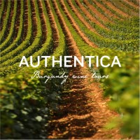 Authentica Tours logo - Similar company to Gourmand Breaks