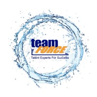 teamFORCE Human Resources logo - Similar company to Cwp Gmbh