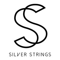 Silver Strings Sdn Bhd logo - Similar company to Aim Group