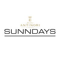 Sunndays logo - Similar company to Onzeauto.