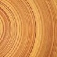 Wood Info logo - Similar company to Alecs