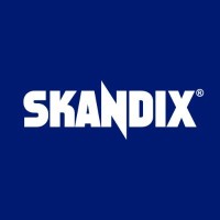 SKANDIX AG logo - Similar company to Early 911S E.K.