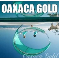 Oaxaca Gold logo - Similar company to Computer House Cdmx Antes D.F.