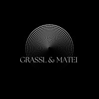 Grassl & Matei logo - Similar company to Canal+ Austria