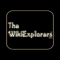 WikiExplorers logo - Similar company to Falcon Digital