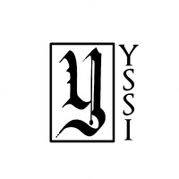 Y Strategy & Security Inc. logo - Similar company to Vult Security