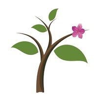Golrizan logo - Similar company to Boho Rose