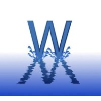 Whizzminds Solutions logo - Similar company to Dreamsofttechnology