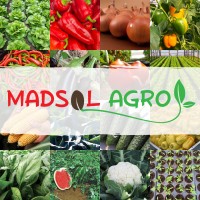 MAD SOL AGRO logo - Similar company to Prefab Sa - Calarasi