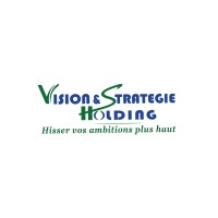Vision et Stratégie Holding logo - Similar company to Izy'Work