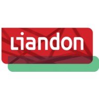 Liandon logo - Similar company to Eteq Energy Solutions
