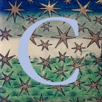 The Channel Undergraduate Review logo - Similar company to Wisconsin Land+Water Conservation Association