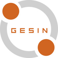 GESIN logo - Similar company to Jassatelecom