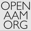 Aviation 3.0 logo - Similar company to Open Aam Org