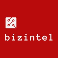BizIntel logo - Similar company to Bizintel