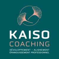KAISO COACHING logo - Similar company to Association Economique De Gland Et Région - Aegr