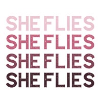 She Flies Extreme Sports logo - Similar company to Foil | Data & Ai