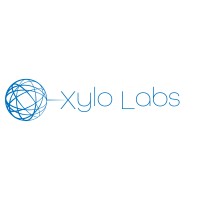 Xylo Labs logo - Similar company to Rapidlabs
