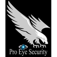 Pro Eye Security logo - Similar company to Aspect Security Agency