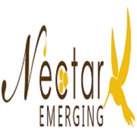 Nectar Emerging logo - Similar company to Tyootr Inc