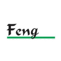 FENG CONTABILIDADE logo - Similar company to Bonamigo Ferro E Aço