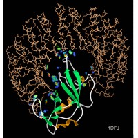 Predictive Labs Ltd logo - Similar company to Zoomsquare