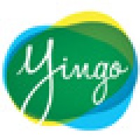 Yingo