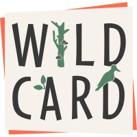 WILDCARD project logo - Similar company to Wilde