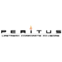 Peritus Advisors logo - Similar company to Peritus Advisory