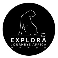 Explora Journeys Africa™ logo - Similar company to Frontline Global