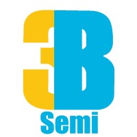 3B SEMICONDUCTORS PRIVATE LIMITED logo - Similar company to Techryan, Inc