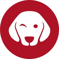 Napko logo - Similar company to Ackno Technologies